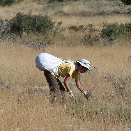 Dans Maison De Caractere Avec Piscine Διαμέρισμα